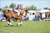 UKPA NC SAT_2287